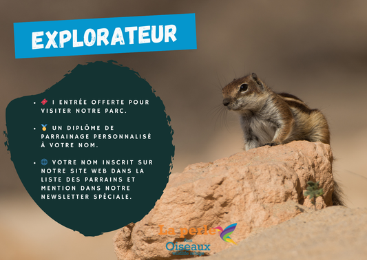 Etre Parrain Explorateur